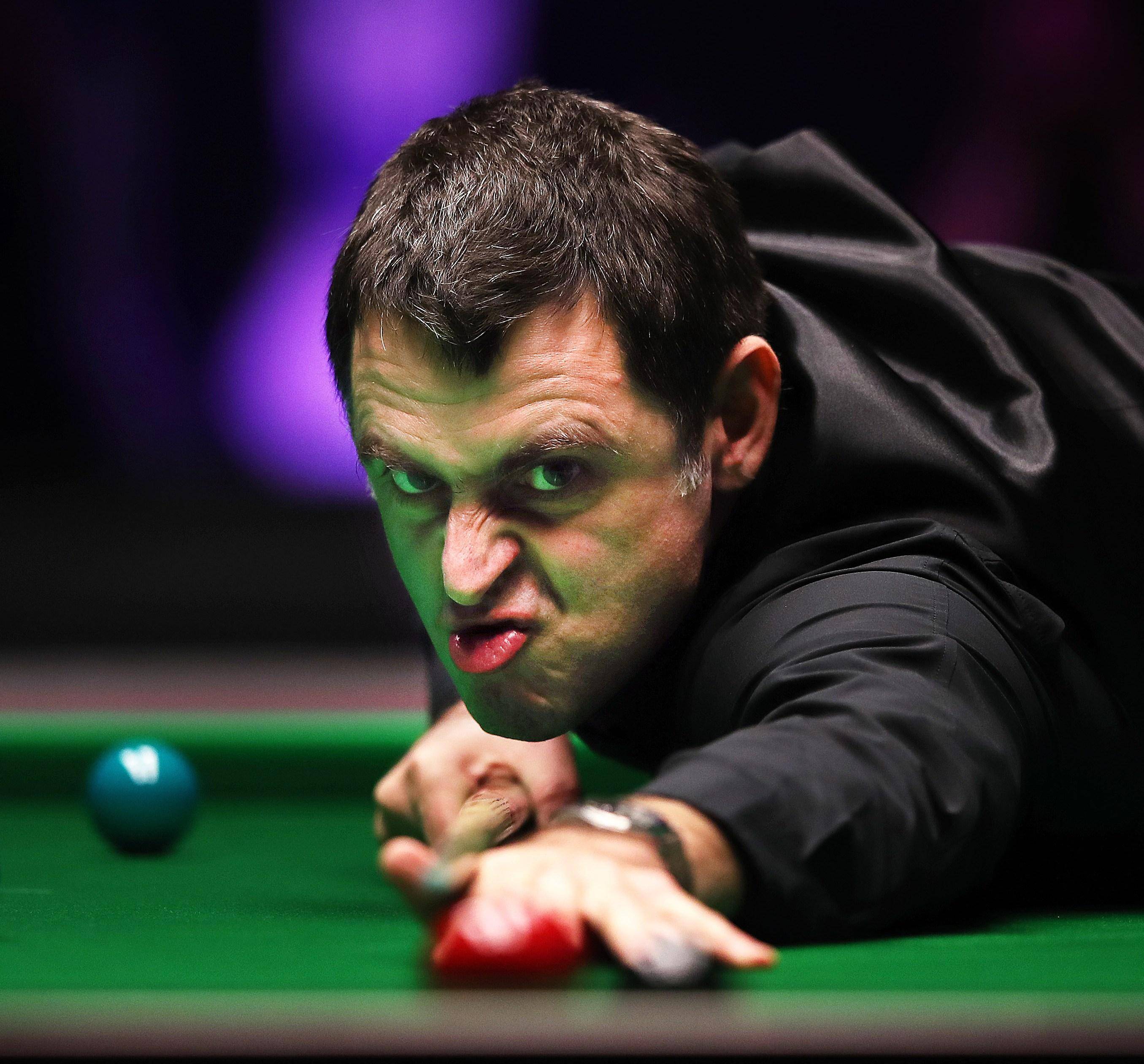 相信未来将 相信未来将