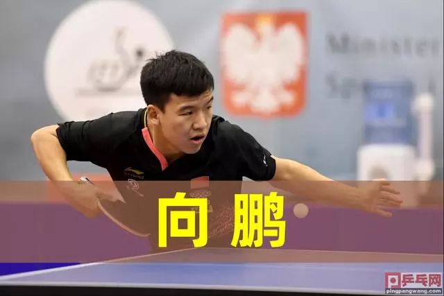 在运动生涯 在运动生涯