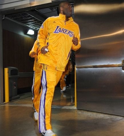 这不仅证明 这不仅证明