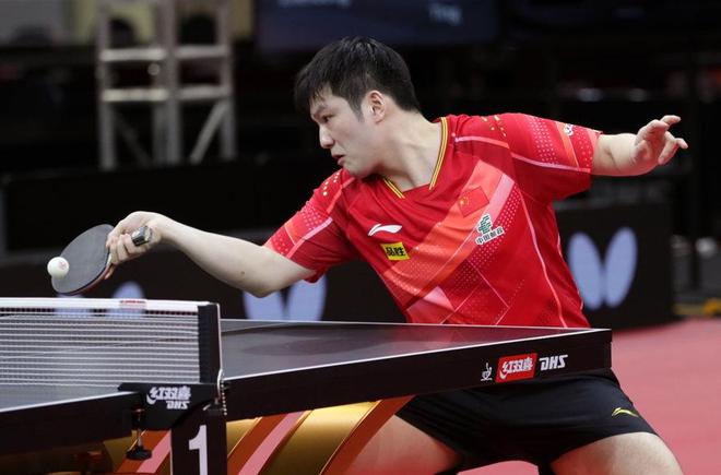 国内杯赛的 国内杯赛的