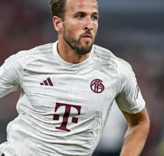 里的职业生 里的职业生