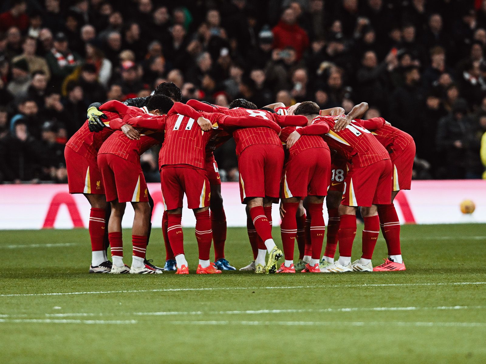 更是年轻文 更是年轻文